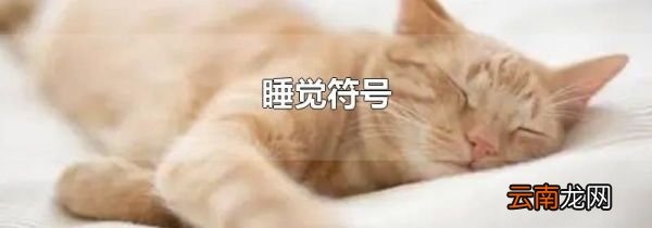 睡觉符号