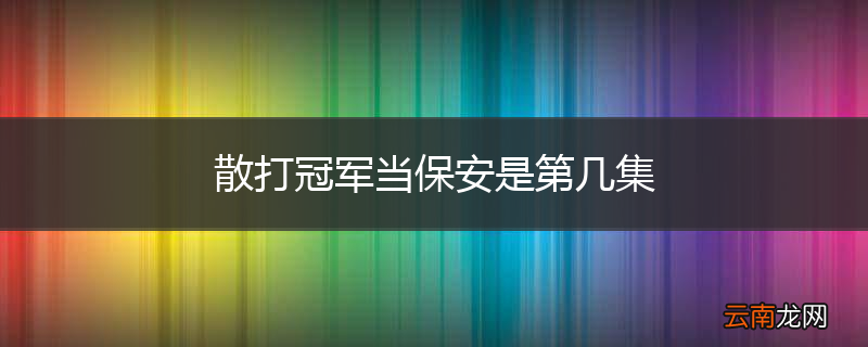 散打冠军当保安是第几集