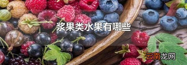 浆果类水果有哪些