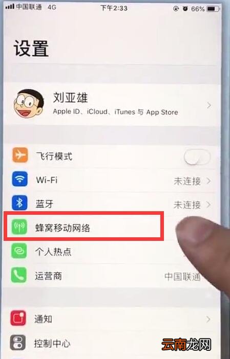 苹果7plus中查看移动流量的详细步骤
