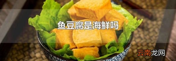 鱼豆腐是海鲜吗