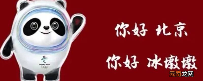冰墩墩咋火的