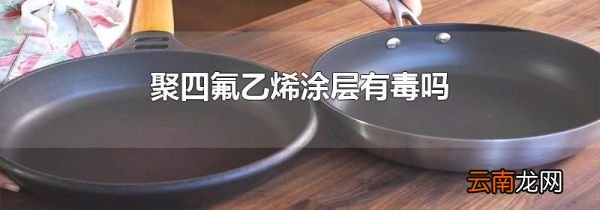聚四氟乙烯涂层有毒吗