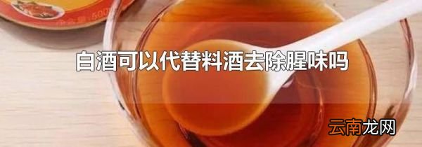 白酒可以代替料酒去除腥味吗