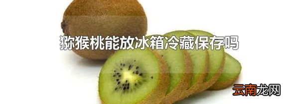 猕猴桃能放冰箱冷藏保存吗