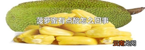 菠萝蜜有点酸怎么回事