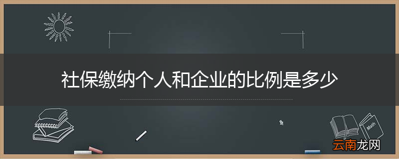 社保缴纳个人和企业的比例是多少