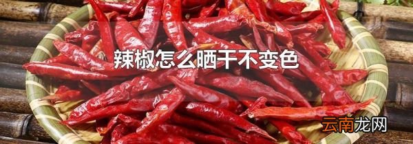 辣椒怎么晒干不变色