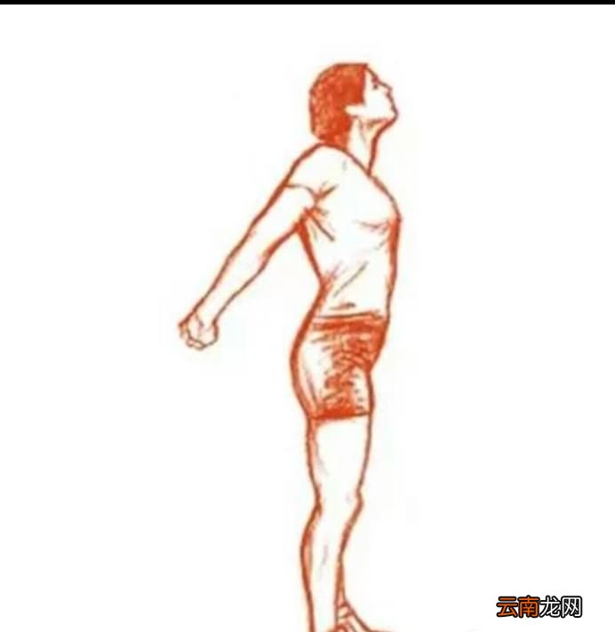 每天坚持8个拉伸动作 让你长高5公分