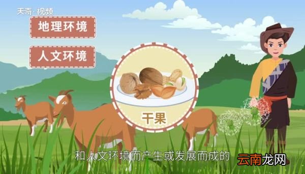 新疆干果种类新疆干果有哪些