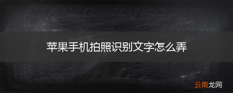 苹果手机拍照识别文字怎么弄