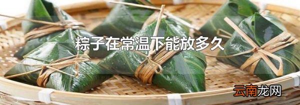 粽子在常温下能放多久
