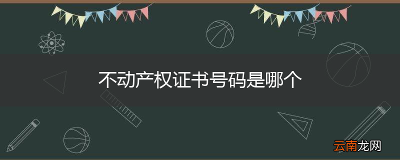 不动产权证书号码是哪个