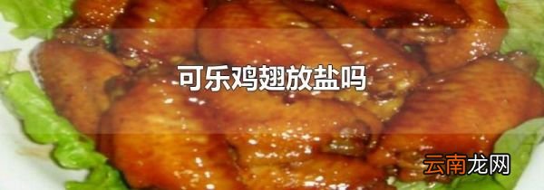 可乐鸡翅放盐吗
