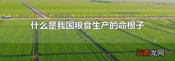 什么是我国粮食生产的命根子