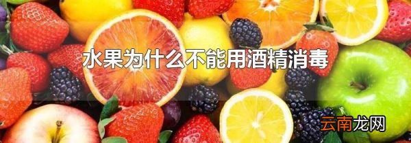 水果为什么不能用酒精消毒