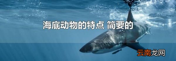 海底动物的特点 简要的