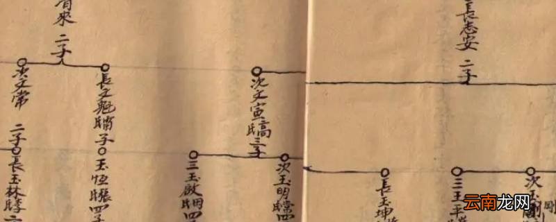 农村接谱是什么意思