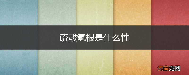 硫酸氢根是什么性