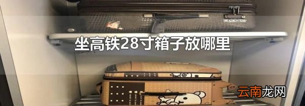 坐高铁28寸箱子放哪里
