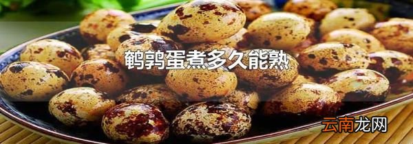 鹌鹑蛋煮多久能熟
