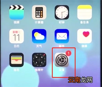 苹果手机查询移动流量的详细步骤
