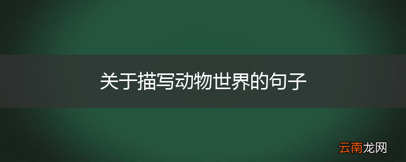 关于描写动物世界的句子