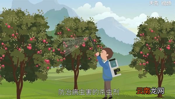 三氧化二砷是什么 什么是三氧化二砷
