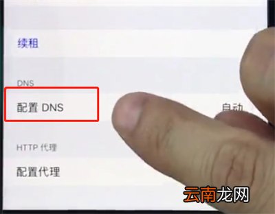 苹果手机中提升网速的详细步骤