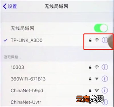 苹果手机中提升网速的详细步骤