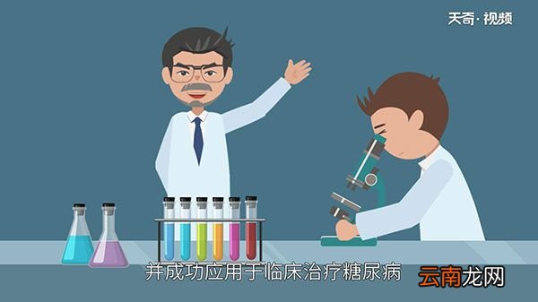 世界糖尿病日的来源 世界糖尿病日是几月几日