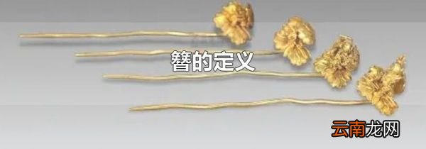 簪的定义