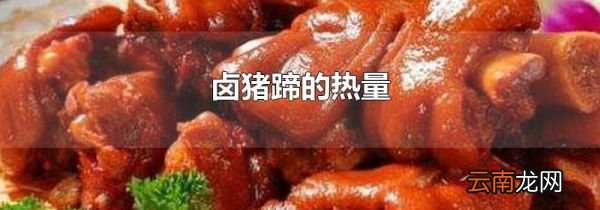 卤猪蹄的热量