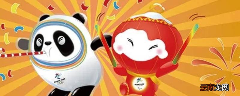 冰墩墩都有什么样的