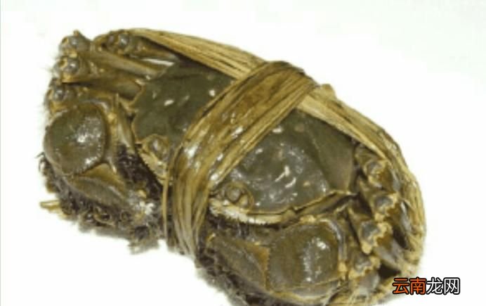 怎样挑选螃蟹？