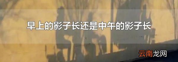 早上的影子长还是中午的影子长