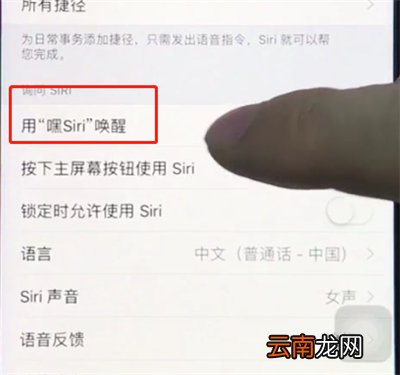 ios12中打开siri的详细步骤
