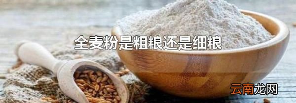 全麦粉是粗粮还是细粮
