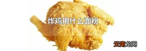 炸鸡用什么面粉