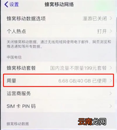 ios12中查询流量数据的详细步骤
