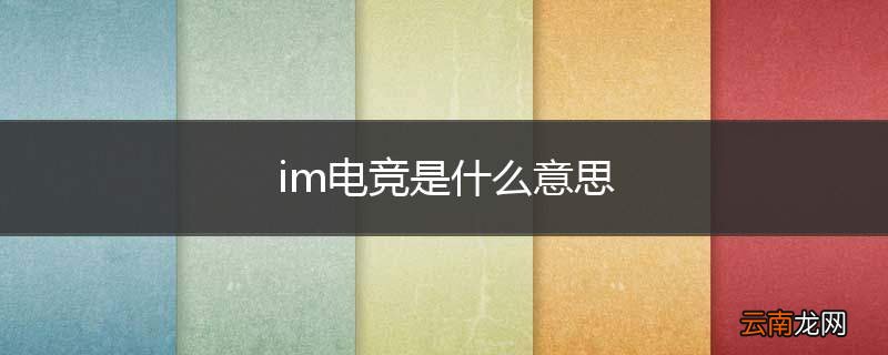 im电竞是什么意思