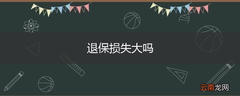 退保损失大吗