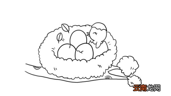 鸟窝简笔画 鸟窝怎么画