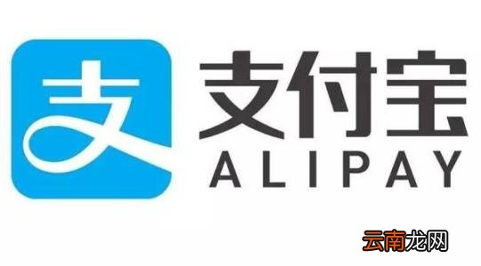 支付宝中电子社保卡详情介绍