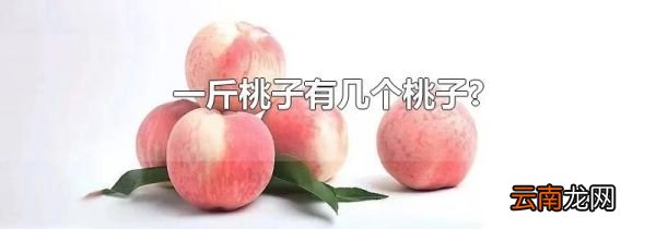 一斤桃子有几个桃子?