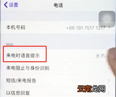 ios12中打开来电语音播报的详细步骤