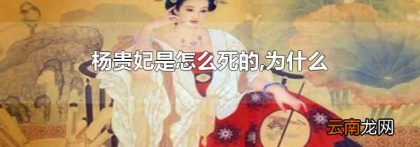 杨贵妃是怎么死的,为什么