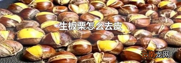 生板栗怎么去皮