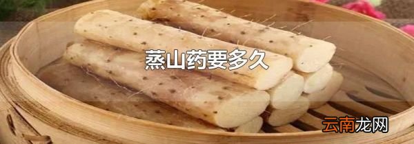 蒸山药要多久
