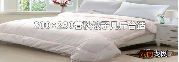 200×230春秋被子几斤合适